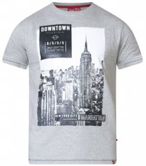 D555 Clive T-shirt Grey