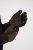 JP1880 811683 Lederhandschuhe Braun - Handschuhe - 