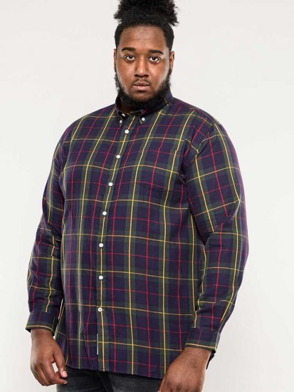 D555 Gladstone Check Button Down Collar Shirt - Herrenhemden - Herrenhemden in großen Größen