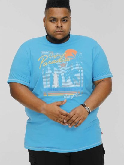 D555 AARON Surfers Paradise Printed Crew Neck T-Shirt Turquoise - Herren-T-shirts - Herren-T-Shirts in großen Größen