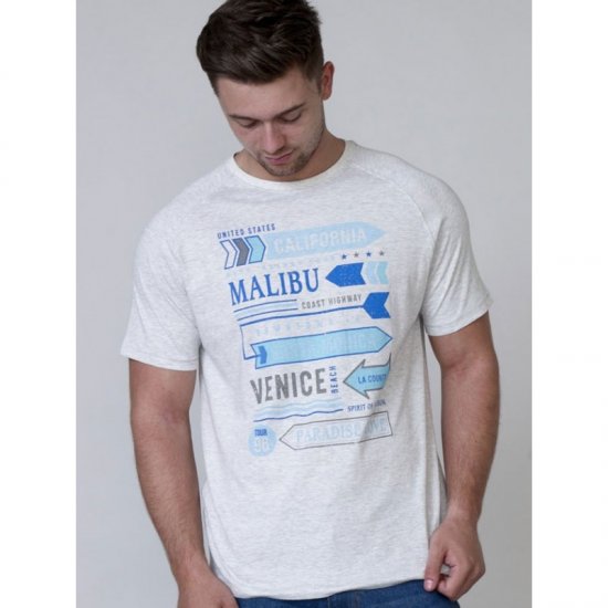 D555 Norris T-shirt Grey - Herren-T-shirts - Herren-T-Shirts in großen Größen