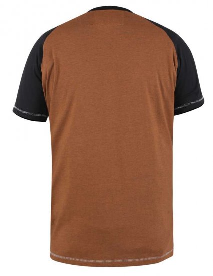 D555 Charmouth Raglan Sleeve Printed T-Shirt - Herren-T-shirts - Herren-T-Shirts in großen Größen