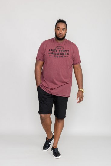 D555 LINTON Printed T-Shirt - Herren-T-shirts - Herren-T-Shirts in großen Größen