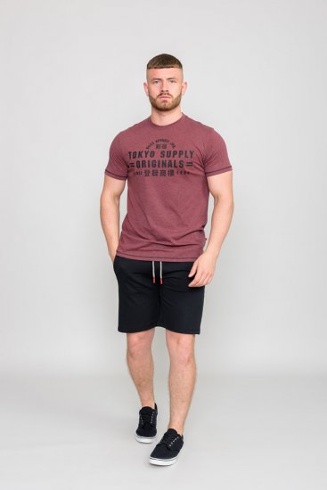 D555 LINTON Printed T-Shirt - Herren-T-shirts - Herren-T-Shirts in großen Größen