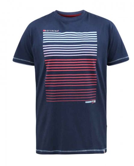 D555 Cransford Gradient Line Printed T-Shirt - Herren-T-shirts - Herren-T-Shirts in großen Größen
