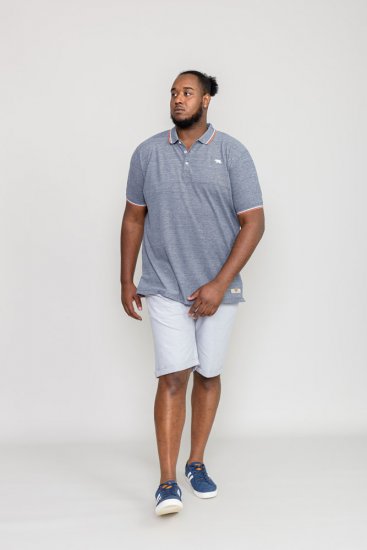 D555 WILCOT Polo Shirt - Polo-shirts für herren - Polo-Shirts für Herren in großen Größen