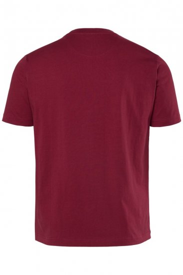 Men+ 219 T-Shirt Palmen Kupferbraun - Herren-T-shirts - Herren-T-Shirts in großen Größen