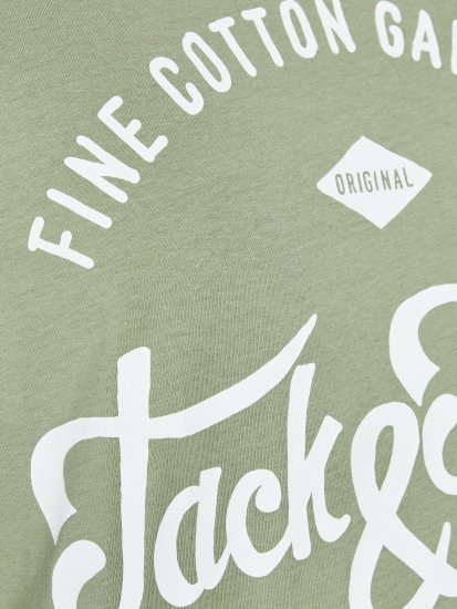 Jack & Jones JJERAFA TEE Light Green - Herren-T-shirts - Herren-T-Shirts in großen Größen