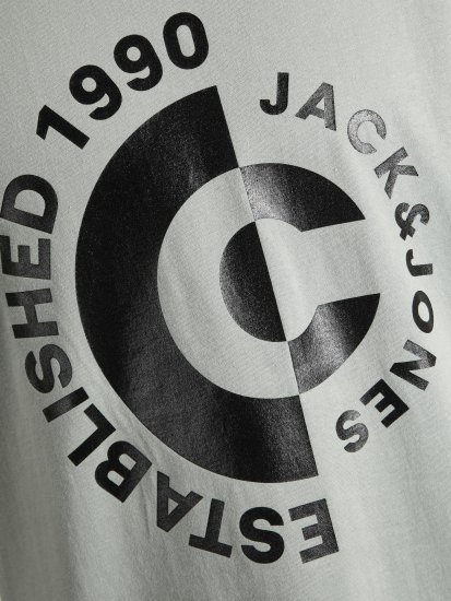 Jack & Jones JCOSPRING T-Shirt Gray - Herren-T-shirts - Herren-T-Shirts in großen Größen