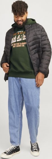 Jack & Jones 2 COL LOGO Hoodie Kombu Green - Herren-sweater und -hoodies - Herren-Sweater und -Hoodies in großen Größen