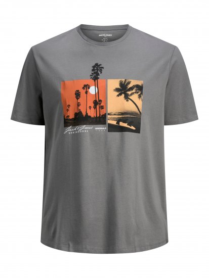 Jack & Jones Rocto T-shirt Sedona sage - Herren-T-shirts - Herren-T-Shirts in großen Größen