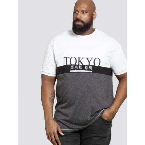 D555 Morris T-shirt Charcoal - Herren-T-shirts - Herren-T-Shirts in großen Größen