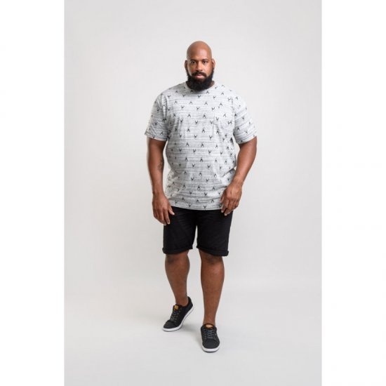 D555 Dario T-shirt Grey - Herren-T-shirts - Herren-T-Shirts in großen Größen