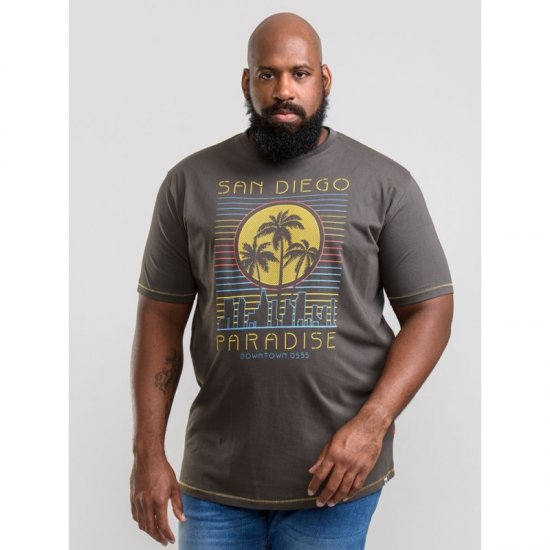 D555 Stanley T-shirt Khaki - Herren-T-shirts - Herren-T-Shirts in großen Größen