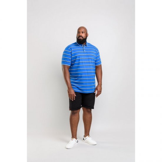 D555 Holmes Polo Blue - Polo-shirts für herren - Polo-Shirts für Herren in großen Größen