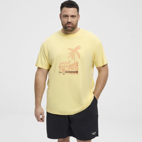 North Latitude T-Shirt Printed Yellow - Herren-T-shirts - Herren-T-Shirts in großen Größen